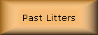 Past Litters